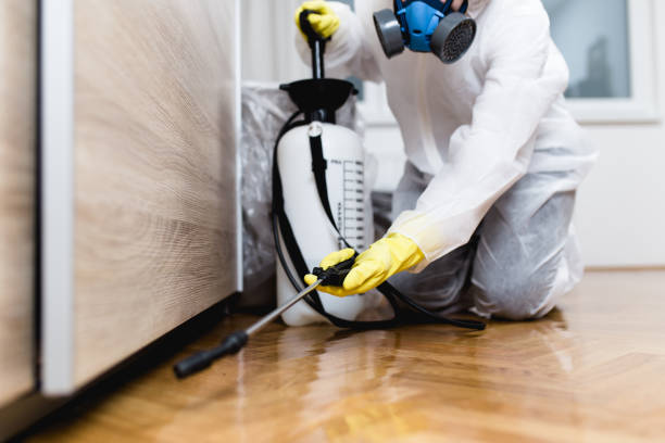 Best Termite Control Services  in Ross, CA