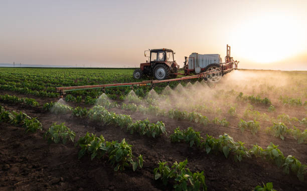 Best Pest Prevention Services  in Ross, CA