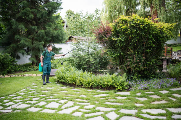 Best Cockroach Control Services  in Ross, CA