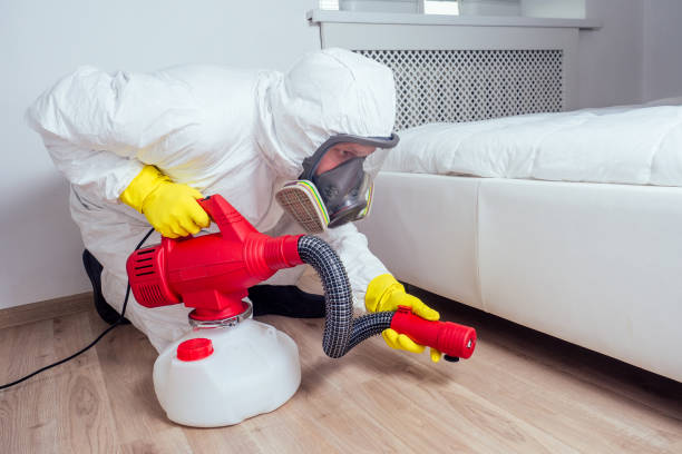 Best Flea Control Services  in Ross, CA