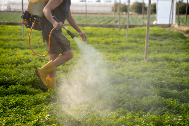 Pest Prevention Services in Ross, CA