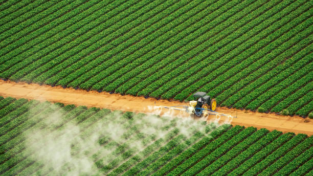 Best Affordable Exterminators  in Ross, CA