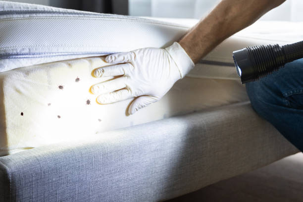 Best Pest Control Near Me in Ross, CA