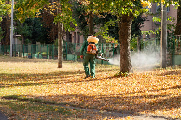 Best Mosquito Control Services  in Ross, CA