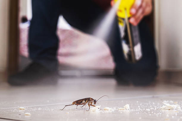 Ross, CA Pest Control Pros