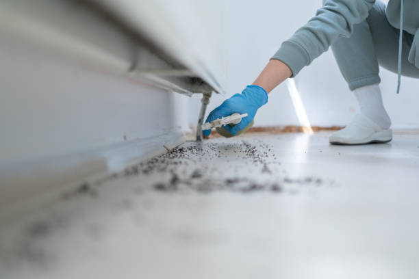 Best Best Pest Control Near Me  in Ross, CA