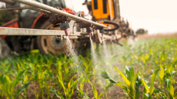 Best Wildlife Control Services  in Ross, CA