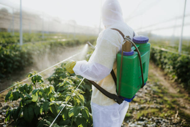 Reliable Ross, CA Pest Control Solutions